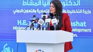 التخطيط تصدر حصاد 2025