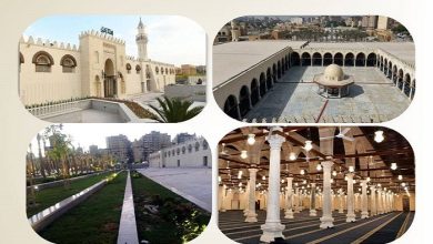 طفرة غير مسبوقة في إحياء