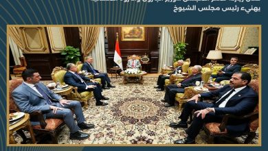 بدوي يشيد بدور مجلس الشيوخ