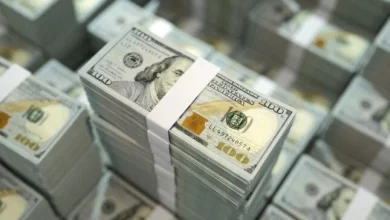 ارتفاع تحويلات المصريين بالخارج