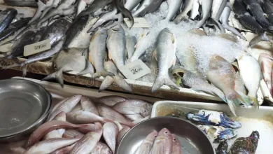 أسعار الأسماك اليوم الإثنين