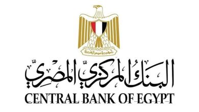 19 مليار جنيه تمويلات لـ14 ألف