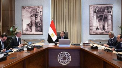 رئيس الوزراء يستعرض مستجدات