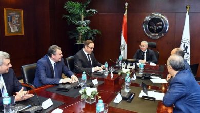 الاستثمار تدعم إنشاء مصنع سيانيد