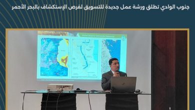 جنوب الوادي تطلق ورشة عمل