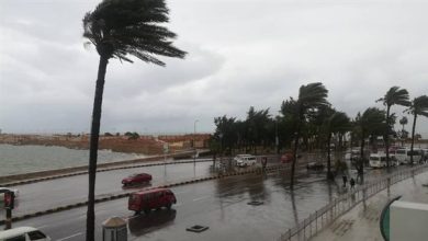 طقس اليوم أجواء مائلة للحرارة