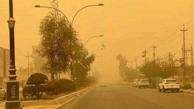 طقس اليوم انخفاض بالحرارة ورياح