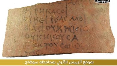 اكتشاف 13 ألف أوستراكا جديدة