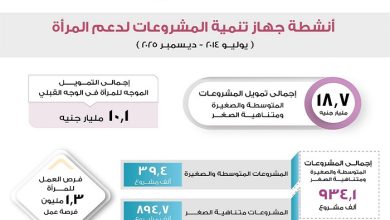 934 ألف مشروع للمرأة