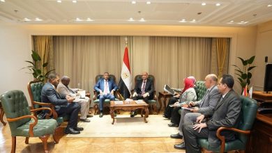 تعاون مصري سوداني لتأهيل الشباب