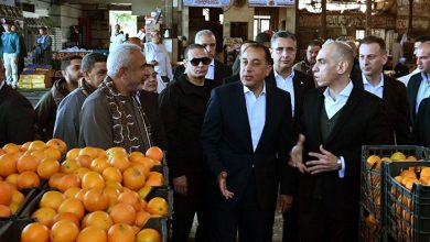 رئيس الوزراء يتفقد مكونات سوق