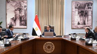 مدبولي يتابع موقف توافر المستحضرات