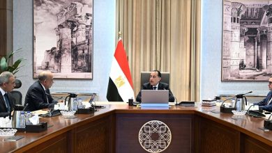 رئيس الوزراء يستعرض خطة إضافة