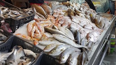 أسعار الأسماك اليوم الخميس