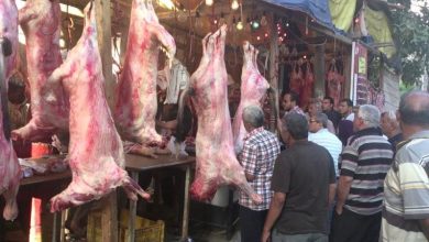 أسعار اللحوم اليوم الخميس