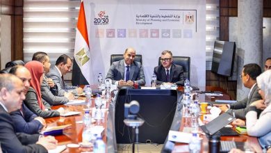 وزيرا التخطيط والعمل يبحثان