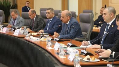 وزير الكهرباء يبحث مع روساتوم