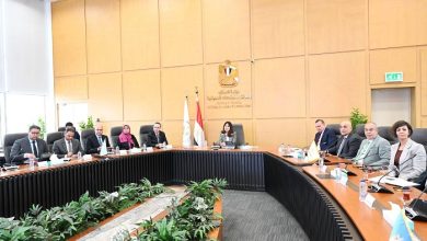 وزيرة الإسكان تبحث مع HDP