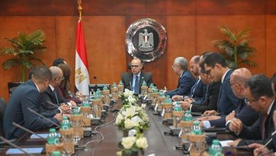 وزير الاستثمار يبحث مع مايكروسوفت