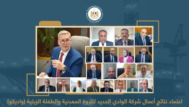 واديكو تحقق طفرة غير مسبوقة