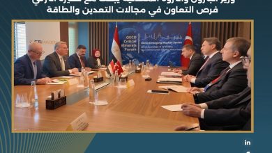 مصر وتركيا تشعلان شراكة جديدة