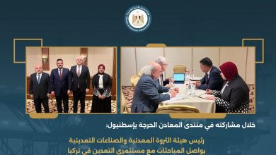 مصر وتركيا تتباحثان جذب استثمارات