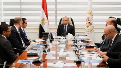 وزير الاستثمار يبحث مع DPI