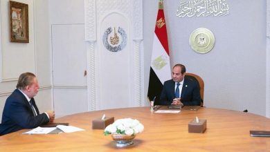 السيسى يبحث مع محافظ البنك المركزى