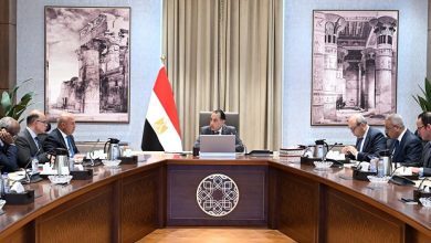 رئيس الوزراء يستعرض جهود