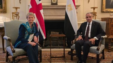 مصر وبريطانيا تؤكدان مواصلة