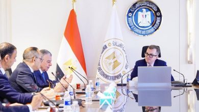 وزير التخطيط يبحث مع سهل وأيادي