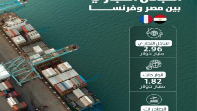 ارتفاع الصادرات المصرية إلى فرنسا