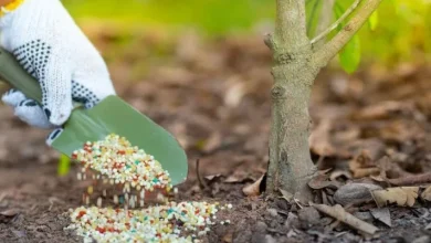 ارتفاع أرباح الدولية للأسمدة