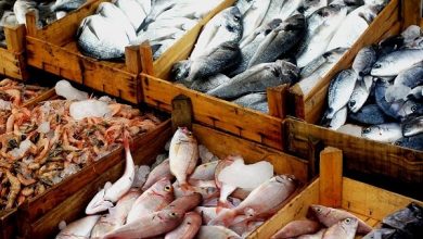 أسعار الأسماك اليوم الإثنين
