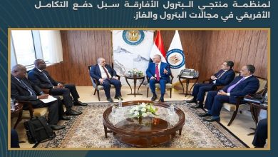 مصر وAPPO تبحثان دعم