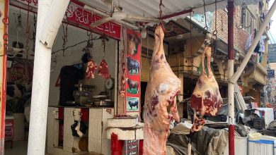 أسعار اللحوم اليوم الثلاثاء