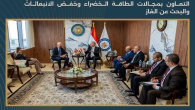 تعاون مصري نرويجي مرتقب