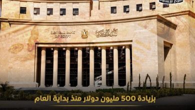 الاحتياطيات الأجنبية تواصل النمو