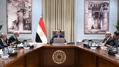 مدبولي يتابع تنفيذ خطة