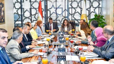 وزيرة التنمية المحلية توجه بالتوسع