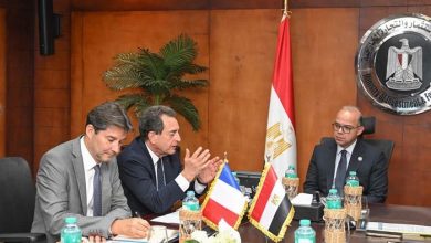 مصر وفرنسا تبحثان تعزيز