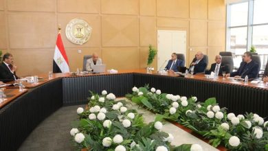وزير الكهرباء يبحث مع خبراء