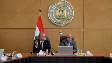 وزيرا الكهرباء والبترول يبحثان