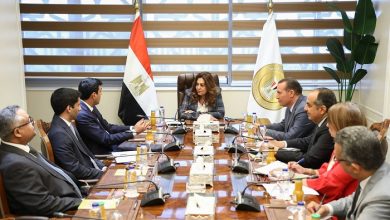 مصر ومنظمة المدن العربية