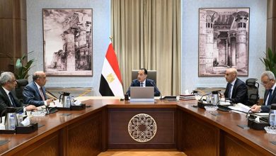 رئيس الوزراء يتابع جهود