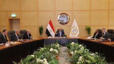 الربط البحري مع أفريقيا ركيزة