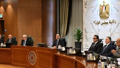 مجلس الوزراء يوافق على ترقية