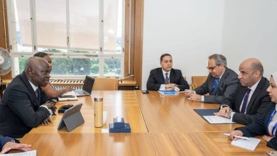 مصر ومنظمة العمل الدولية تبحثان