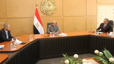 الكهرباء يبحث مع مجموعة صينية