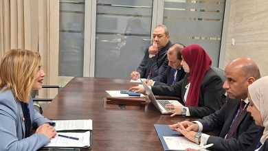 وزير العمل يبحث مع نائب